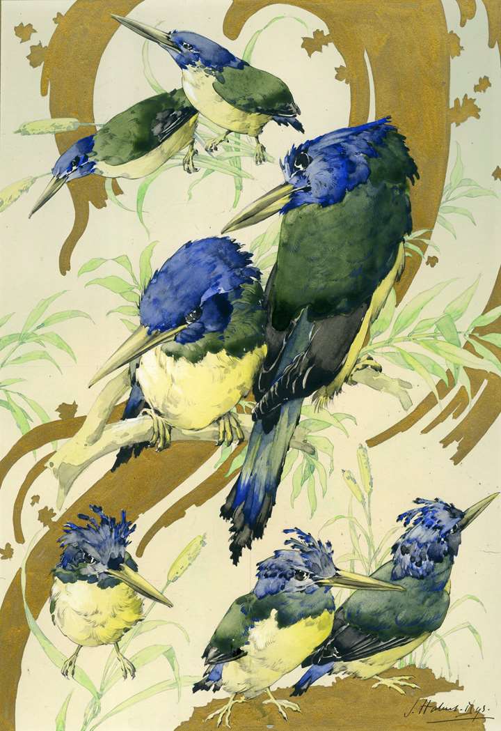Illustration for Caprices Décoratifs: Oiseaux de la famille des Martins-pêcheurs [Birds of the Family of Kingfishers]